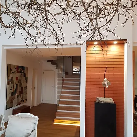 Rural - Cerrado Da Serra Farm stay